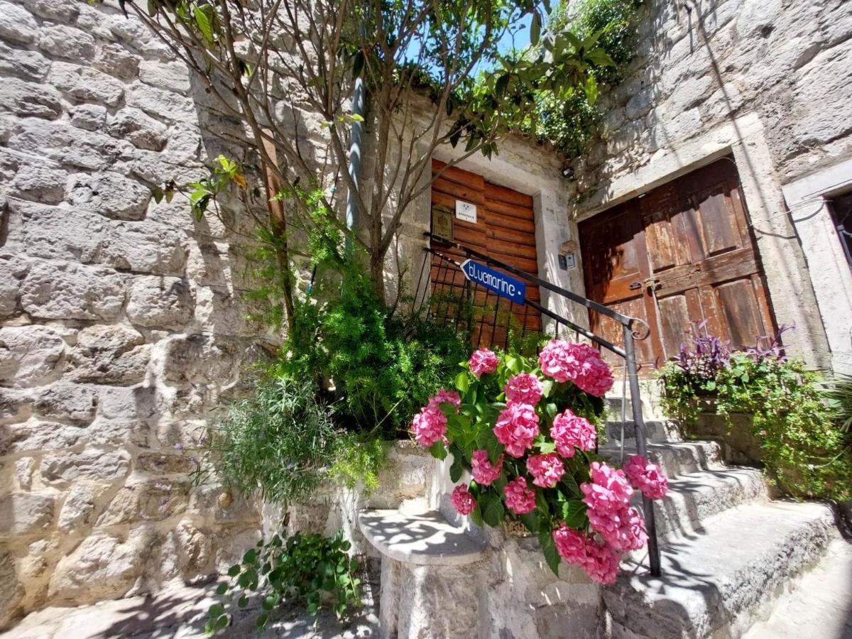 Bluemarine Rooms & Apartments Perast Exterior foto